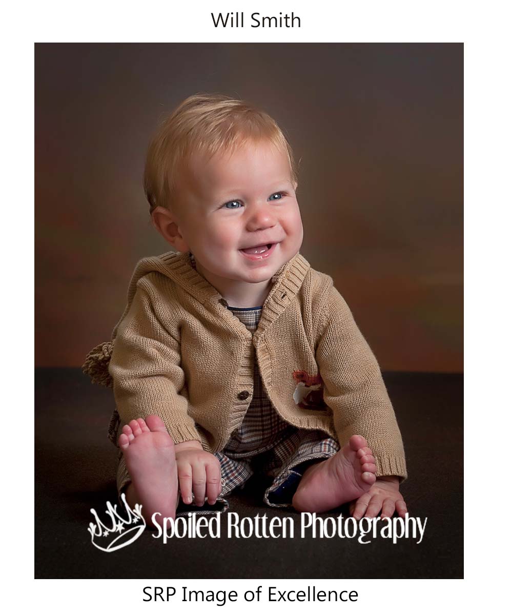 Spoiled Rotten Photography Franklin Photographer Receives Awards