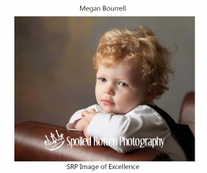 Spoiled Rotten Photography - The 20 Most Incredible School Pictures of 2014