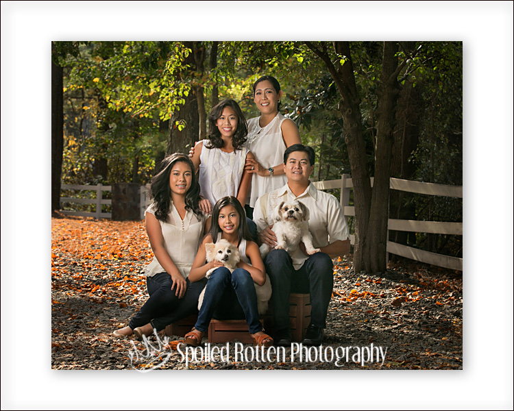 Posing Large Groups of People for Family Portraits | a.steed's.life