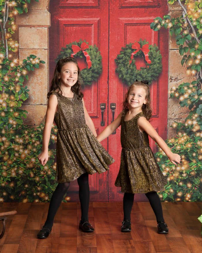 Holiday Mini Session