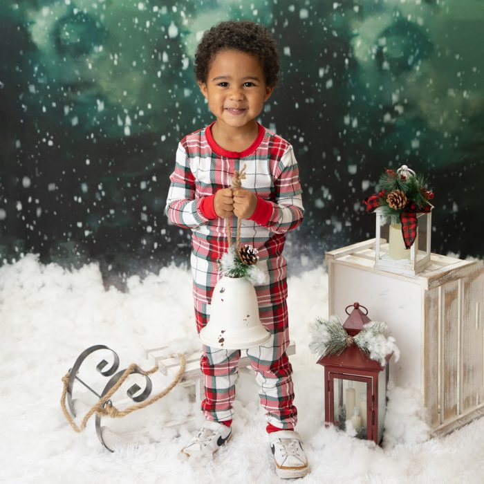 David – Primrose of Wayne